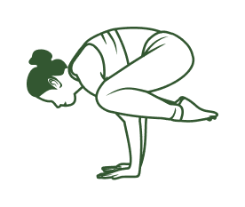 Therapeutic Yoga Specialist