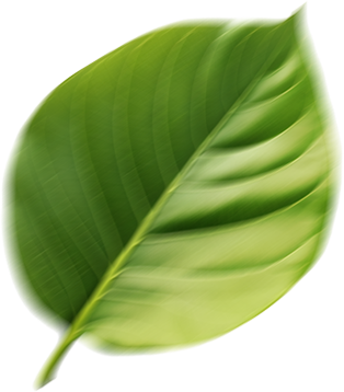 Kira Award