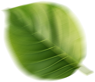 Kira Award